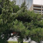 林豪装饰惜缘18525342588的个人资料头像