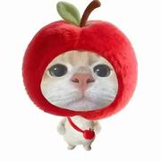 果粒蹬的个人资料头像