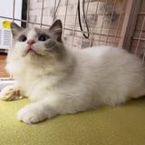 奋斗努力赚钱🇨🇳🇷🇺头像