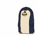 陈大發的个人资料头像