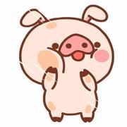 图南yaaaaaa的个人资料头像