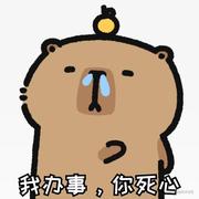 幻程君的个人资料头像