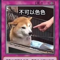 热心风筝HS头像