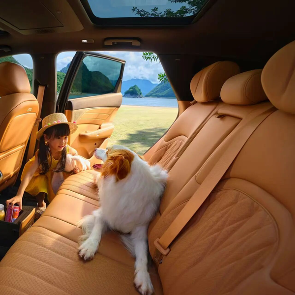 定西车圈儿头像