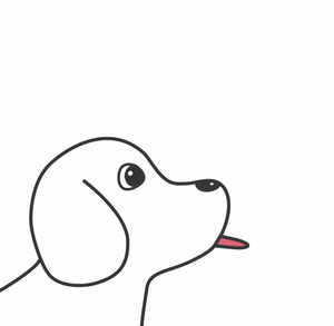 0x效率工程师的头像