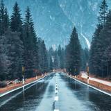 江南春雨塞北秋风头像