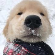 辉哥掘进的个人资料头像