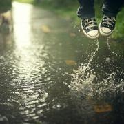 zN13277的个人资料头像