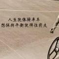 初来乍到的军犬头像