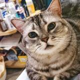 自由飞翔的希希头像