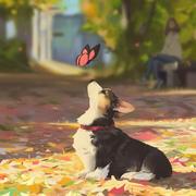 wuyioo的个人资料头像