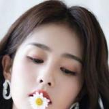 聪明的人在旅途头像