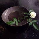 志鸿思荣的个人资料头像