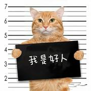 寜坐羔羊不做狼的个人资料头像