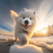 Flaz的个人资料头像