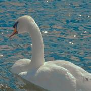 用户975751694502的个人资料头像