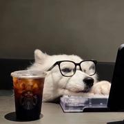 CspecialJ的个人资料头像