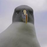 Martin745头像