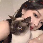 小鬼910的个人资料头像