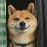 二胖子千沟万壑头像