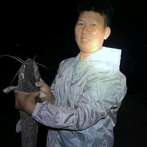 电白洪金宝头像