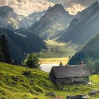 勇敢的浪子头像