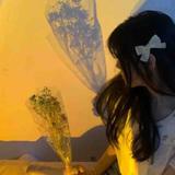 孤星十三头像