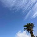 龍遊雲海头像