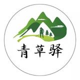 青草驿头像