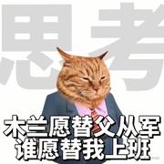 摸鱼好手的个人资料头像