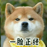 陈澄承的个人资料头像