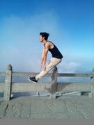 子树的个人资料头像