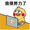 theshy的个人资料头像