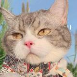 七眠头像