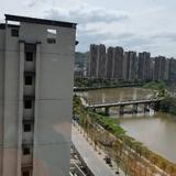 阿张哥的幸福生活头像