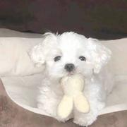 ZIK的个人资料头像