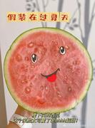 前端fairy的个人资料头像