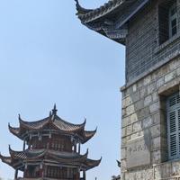 奇妙春风IfS头像