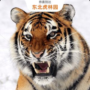 清新海洋CC头像