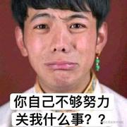 前端开发丁真的个人资料头像