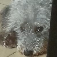 用户7054892532542头像