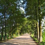 夏虫680的个人资料头像