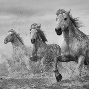 马什么梅的个人资料头像