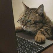 一尤花岛树鸣的个人资料头像