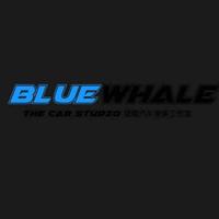 蓝鲸汽车美体头像