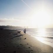 青野星耕的个人资料头像