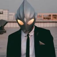 勤奋的撸猫王头像