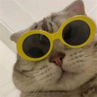 万千少女乔帮主头像