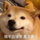 用户O0O头像