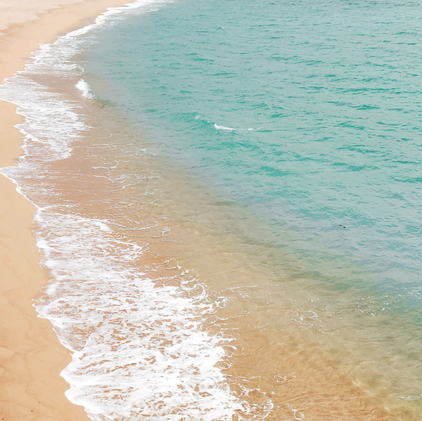 车之道精品二手车批发头像